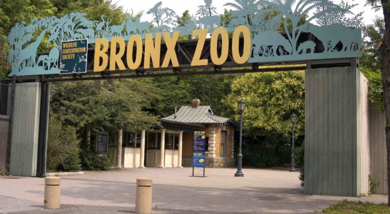 INTERVIEW: Go behind the scenes at the Bronx Zoo in new Animal Planet ...