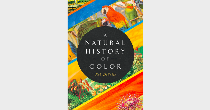 A Natural History of Color: The Science Behind What We See and How We See it